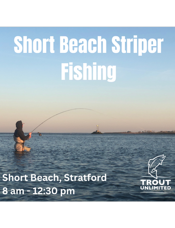 Event Short Beach Striper Fishing Trip