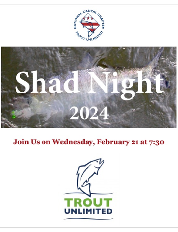 Event Shad Night 2024
