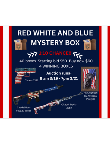 Event Red White and Blue Auction