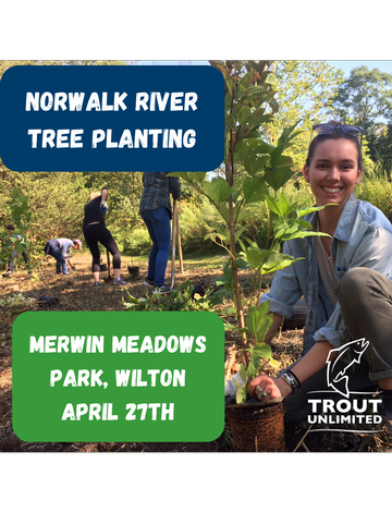 Event Norwalk River Tree Planting with Save the Sound