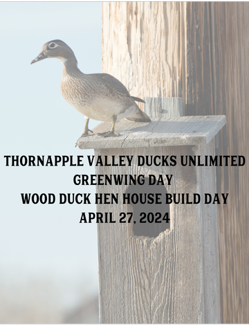 Event Thornapple Valley Greenwing Day