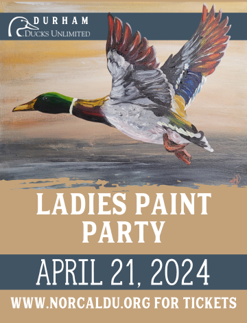 Event Ladies Paint Party in Durham, Ca