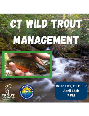 Event Wild Trout Management with Brian Eltz, CT DEEP