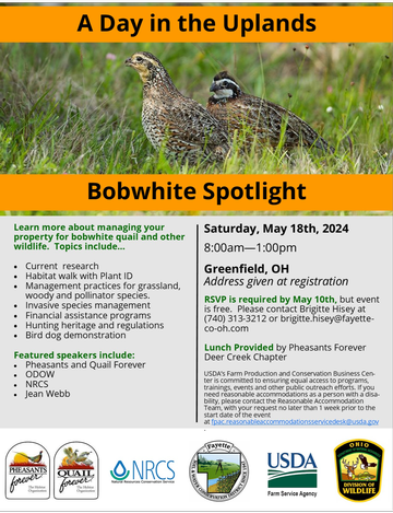 Event A Day in the Uplands: Bobwhite Spotlight