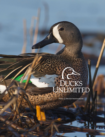 Event Helena Ducks Unlimited Greenwing Event