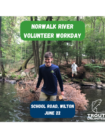 Event Norwalk River Volunteer Workday: Building a Conifer Revetment
