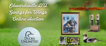 Event Swings for Wings Online Auction