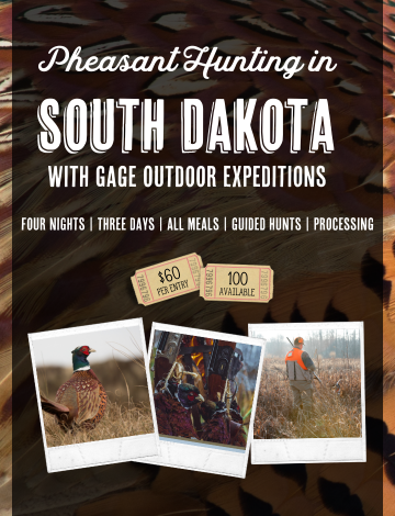Event MSDU Pheasant Hunting in South Dakota Online Raffle