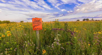 Event Barlow Farms Field Day : Integrating Wildlife Habitat in an Agricultural Landscape 