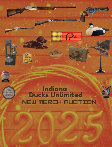 Event IN DU 2025 New Merch Auction