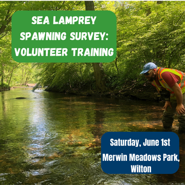 Event Volunteer Training: Sea Lamprey Spawning Survey