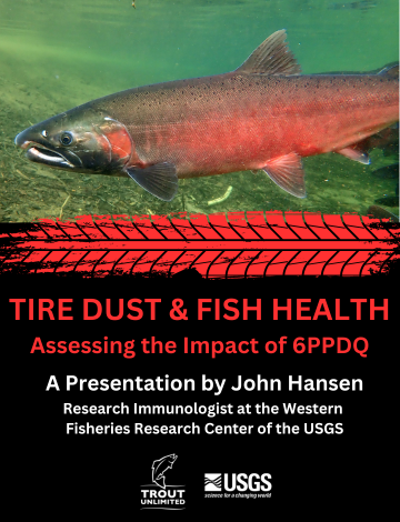 Event Tire Dust & Fish Health: Assessing the Impact of 6PPDQ