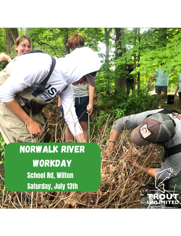 Event Norwalk River Volunteer Workday: Building a Conifer Revetment POSTPONED TO SUNDAY