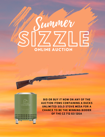 Event TNDU Summer Sizzle Auction and Mystery Box