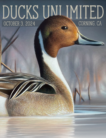 Event Corning Ducks Unlimited Dinner 2024 @ The Crossing of Thomes Creek