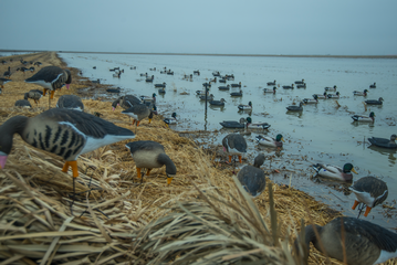 Event Desoto Ducks Unlimited Dinner Party