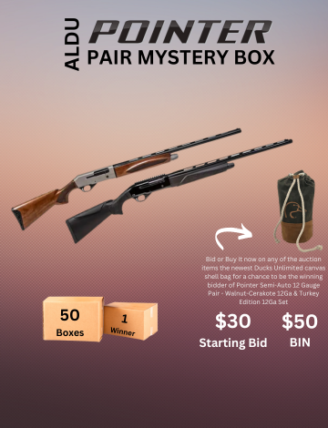 Event ALDU Pointer Pair Mystery Box Online Auction