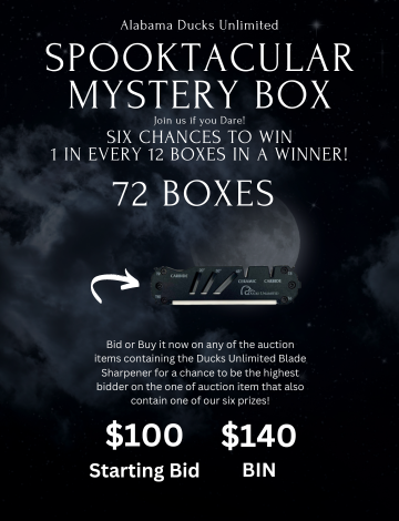 Event ALDU 2nd Annual Spooktacular Mystery Box