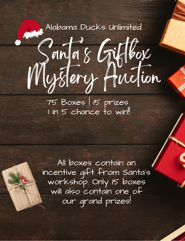 Event ALDU Santa's Giftbag Mystery Box Auction