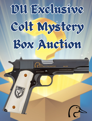 Event Exclusive Colt Mystery Box Auction