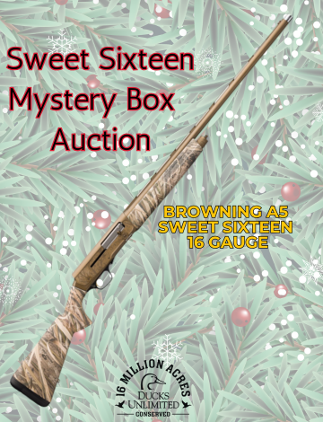 Event Sweet Sixteen Mystery Box Auction