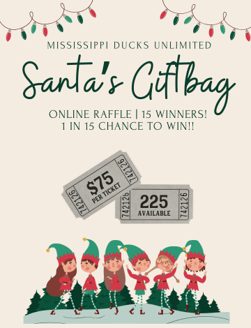 Event MSDU Santa's Helpers Online Raffle