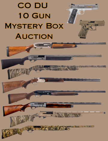 Event 10 Gun Spring Cleaning Mystery Box Auction