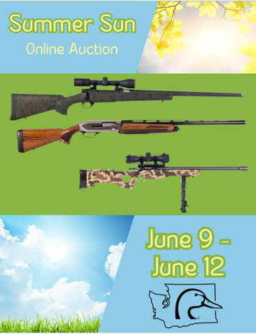 Event Summer Sun Online Auction