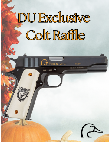 Event Exclusive Colt 1911