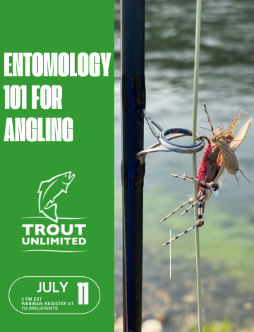 Event Entomology 101 for Angling