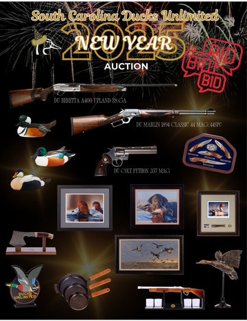 Event SCDU 2025 New Year Auction 