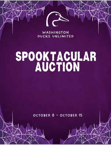 Event Spooktacular Auction