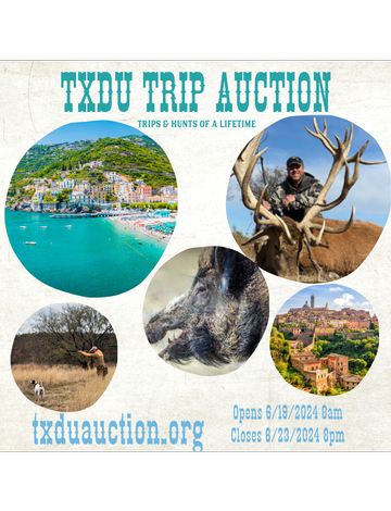 Event Texas Trip Auction
