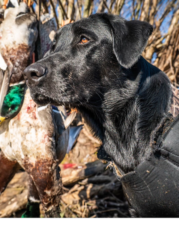 Event NYS 2024 Convention