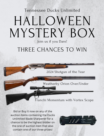 Event TNDU Halloween Triple Win Mystery Box