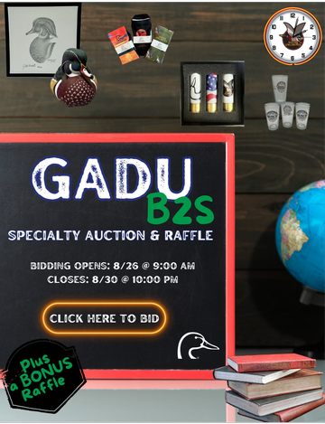 Event GADU B2S Auction & Raffle 