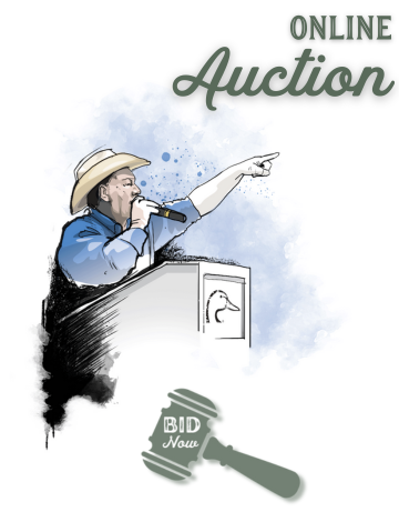 Event Independence Day Weekend Mystery Auction