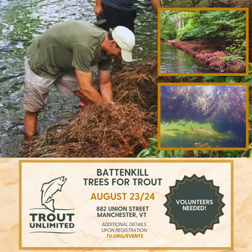 Event Battenkill Trees for Trout!