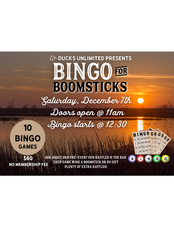 Event Forest Lake Bingo at Friar's Bar