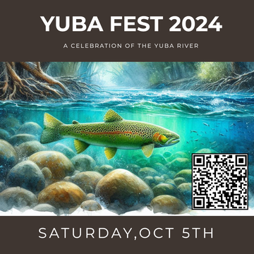 Event 2024 YUBA FEST