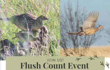 Event Pheasant Flush Count Event