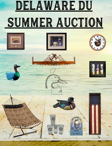 Event Delaware DU Summer Merchandise Auction