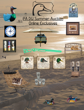 Event PA DU Summer Auction w/ Online Exclusives