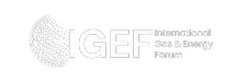 International Gas Energy Forum Logo